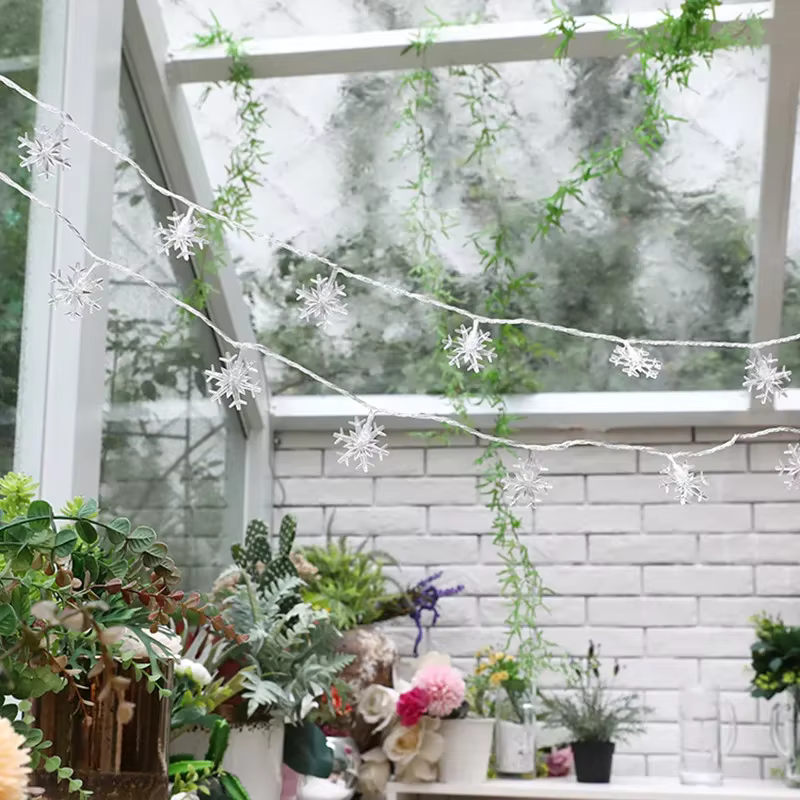 Cool white snowflake string lights draped near indoor plants by a window