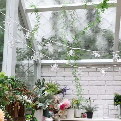 Cool white snowflake string lights draped near indoor plants by a window